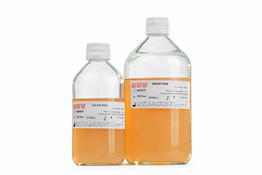 ÁGAR-OSA-(SITE)