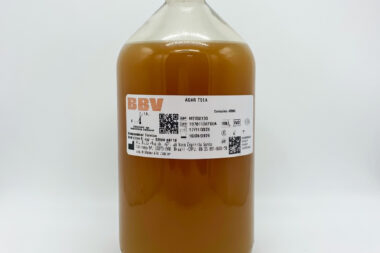 Signature: TQspB/np0ExpXSr8lcpd6uQ9pPg261AdLKROTNkiLf8u7NSz09uK1kYJ5dH5C4oZLDlMtKDWof3rNzJtjMBPuQtOWonfghGigoqr8tJDr0Z5Ce8A2g+B0yW5xNZRkI/EX4ciRdQIFPpKODSXLXQsT485xhHVyTGqU5ZJK3MkNB9LMR6Va2tVD2ytosC7T7+spLj7aobdPtnId2KwyhHEeAQ9bsMRcIUFP+SQFYhAL9i/pL/VPM2ABUgLwTw1jFsnC1iNYZT/+xWxmscNagAFYahx/bnWuL135lSm6yd4OfM=