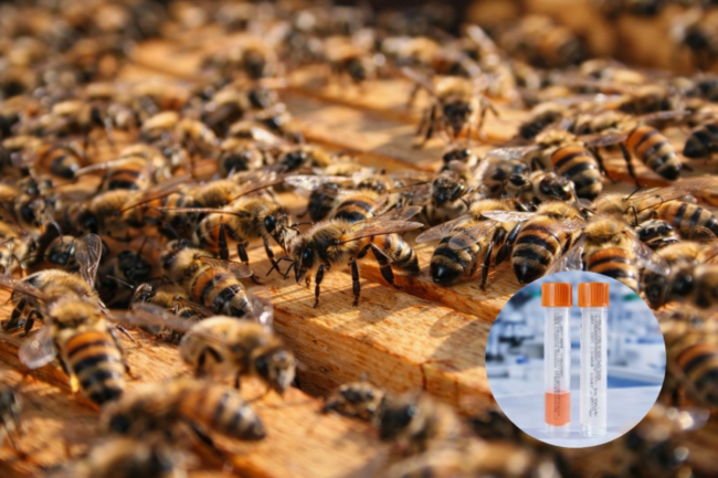 ChatGPT Image 7_04_2026, 09_49_28